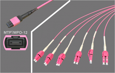 MPO-12 đến Lắp ráp LC - MPO-12 đến 6 x Duplex LC OM3 đến OM5 Lắp ráp